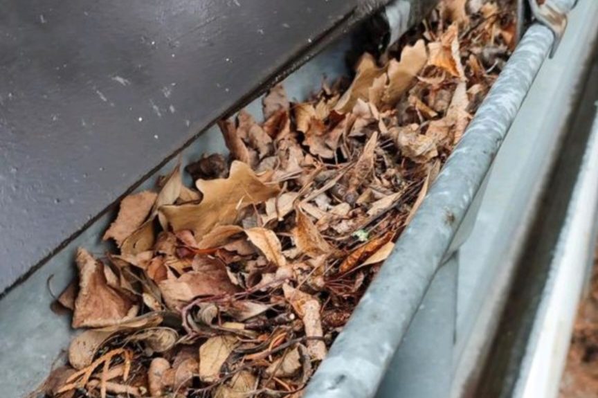 Dachrinne reinigen Dachrinne reinigen in Wörrstadt, Worms, Alzey Bingen